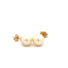 14K Yellow Gold 9mm Pearl Stud Earrings